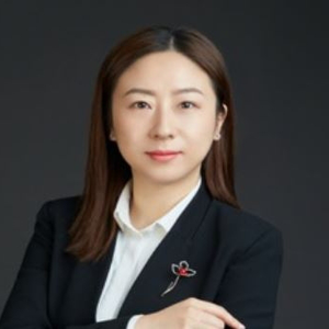 Vera Lu (COUNSEL at Wang Jing&GH LAW FIRM)
